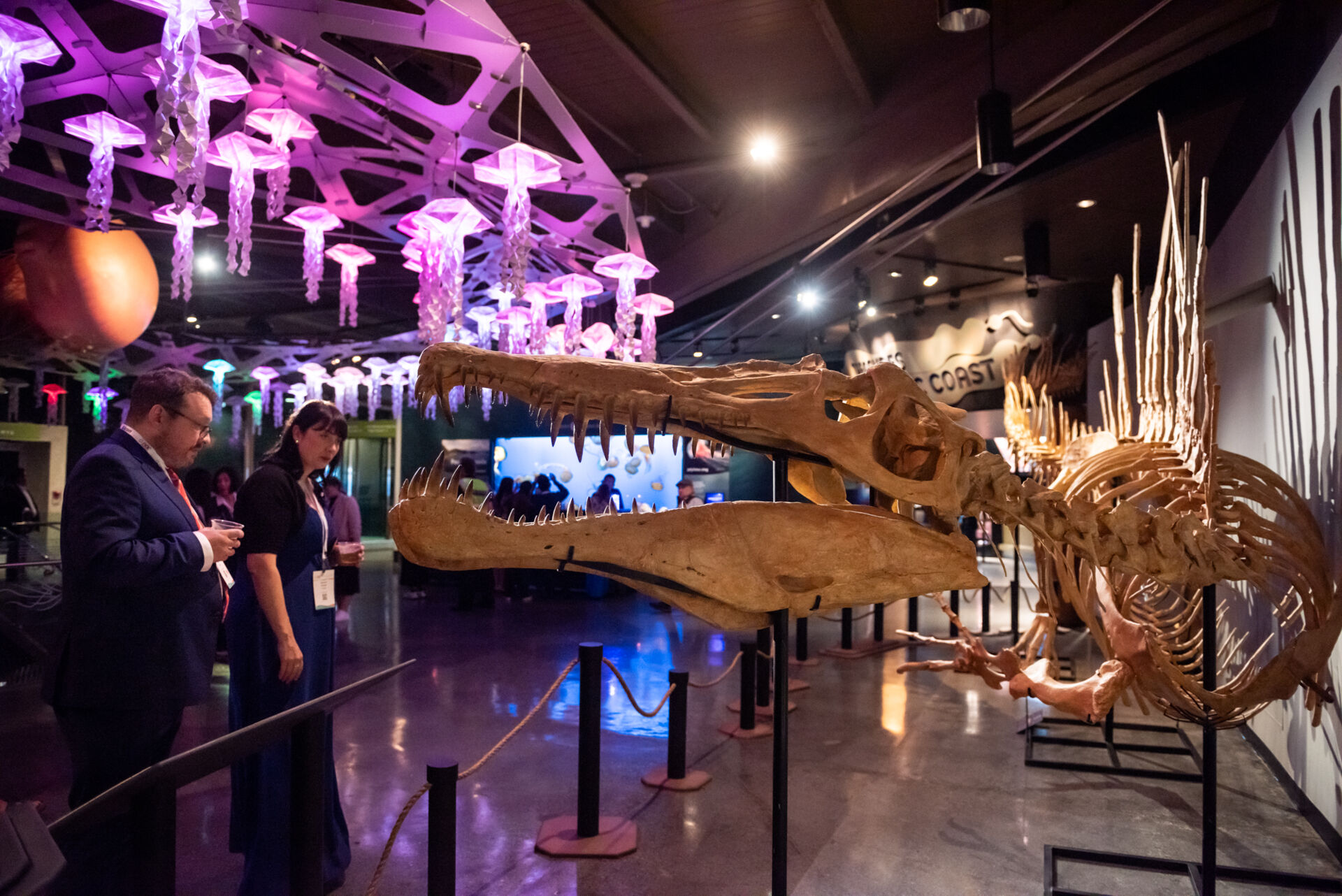 54023271233_a165bf1e45_o 54023271233_a165bf1e45_o