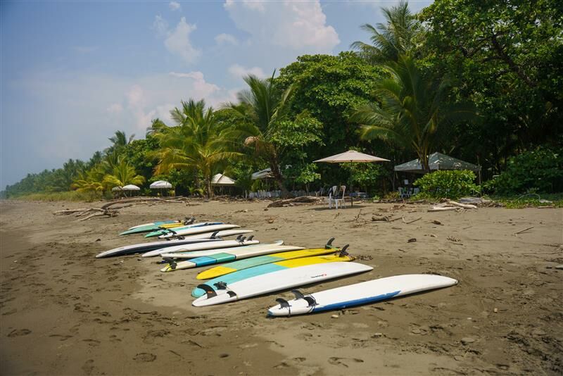 d931b8c6-f6c6-4d53-a195-a6a90e61e266 d931b8c6-f6c6-4d53-a195-a6a90e61e266