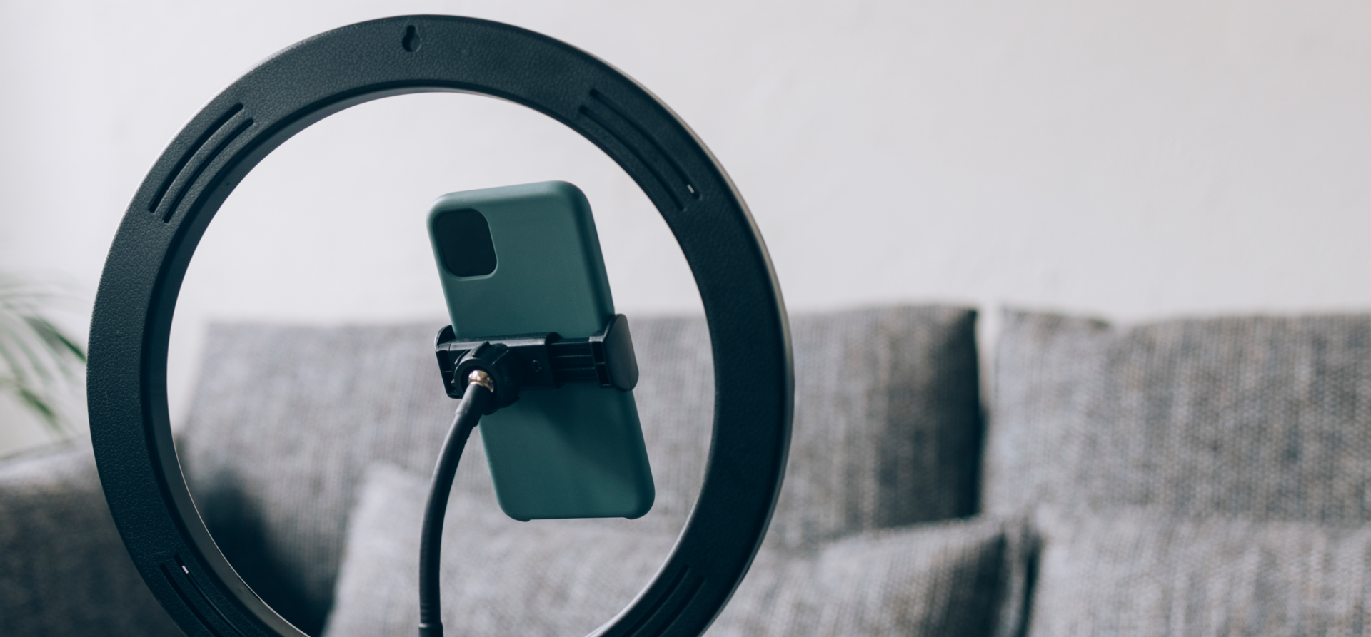 Banner image Banner image