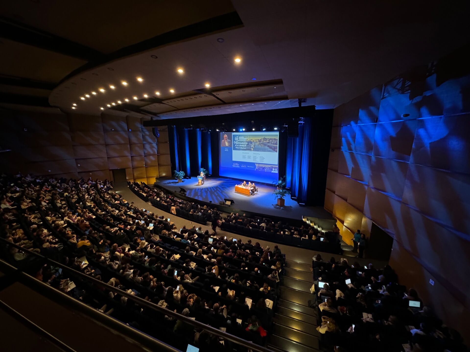 IMG_2560 2 IMG_2560 2