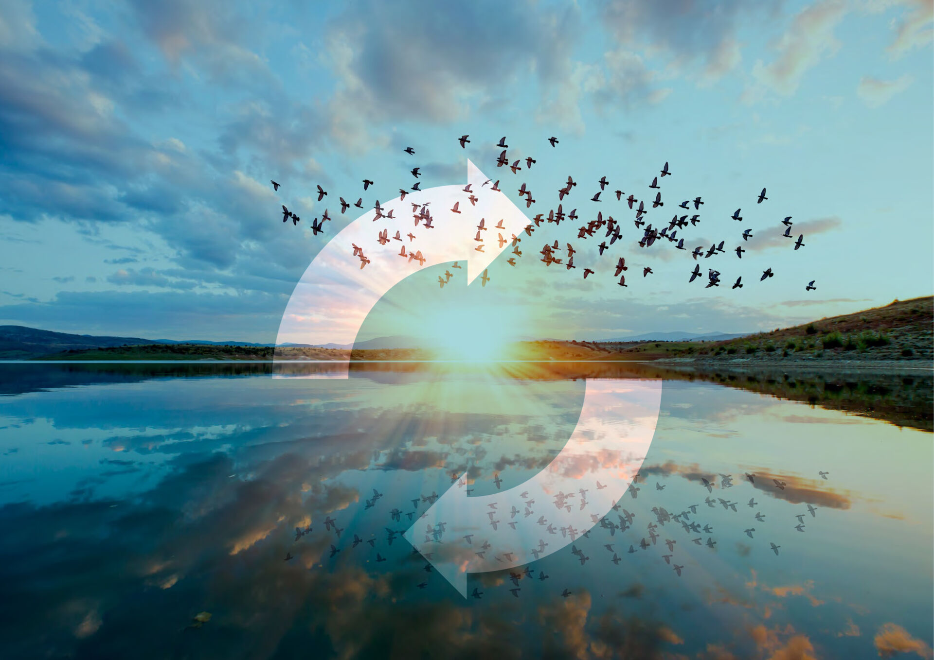 mci-group-Company-Report-2023_Sustainability mci-group-Company-Report-2023_Sustainability