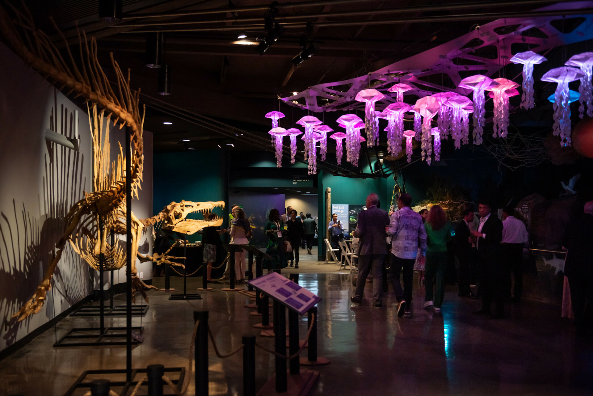 54023372929_40ee4322ff_k 54023372929_40ee4322ff_k