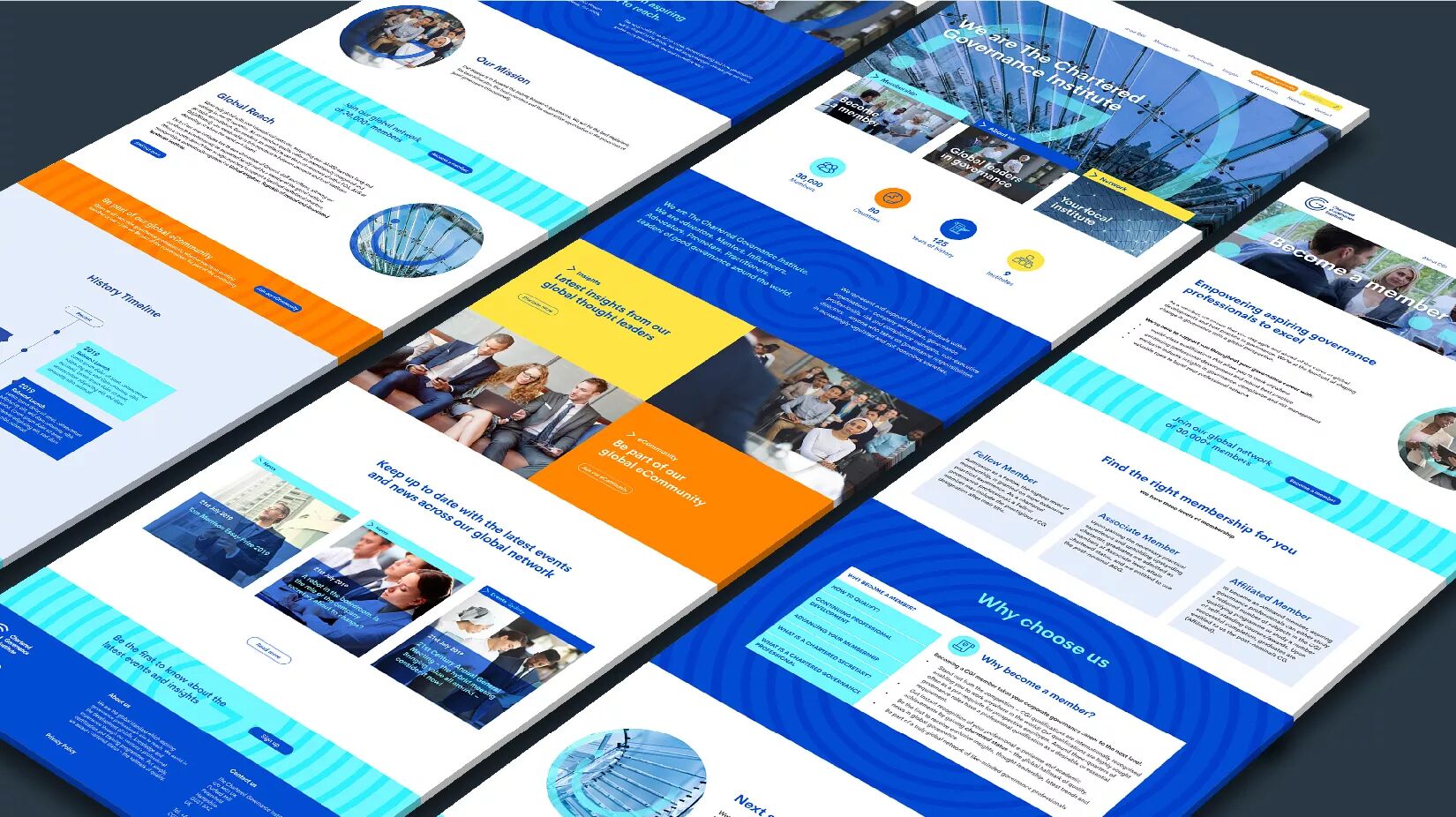 CGI Governance-04