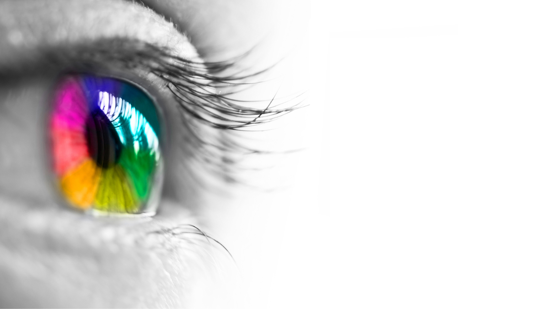 Außergewöhnliche Kundenerlebnisse Außergewöhnliche Kundenerlebnisse