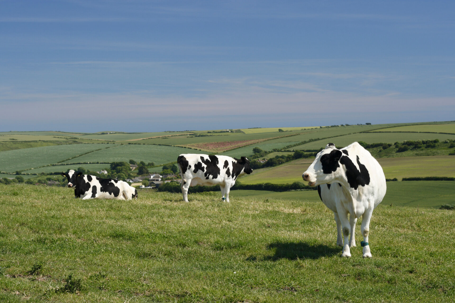 Taking learning to remote farms