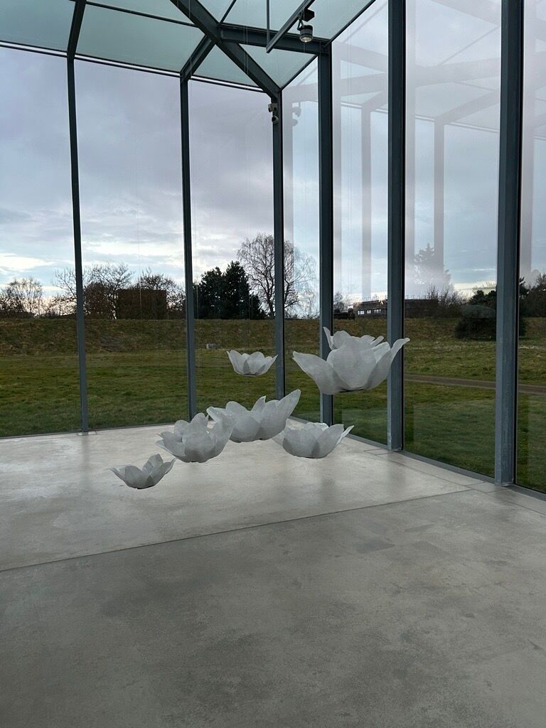 Image (30) (1) Image (30) (1)