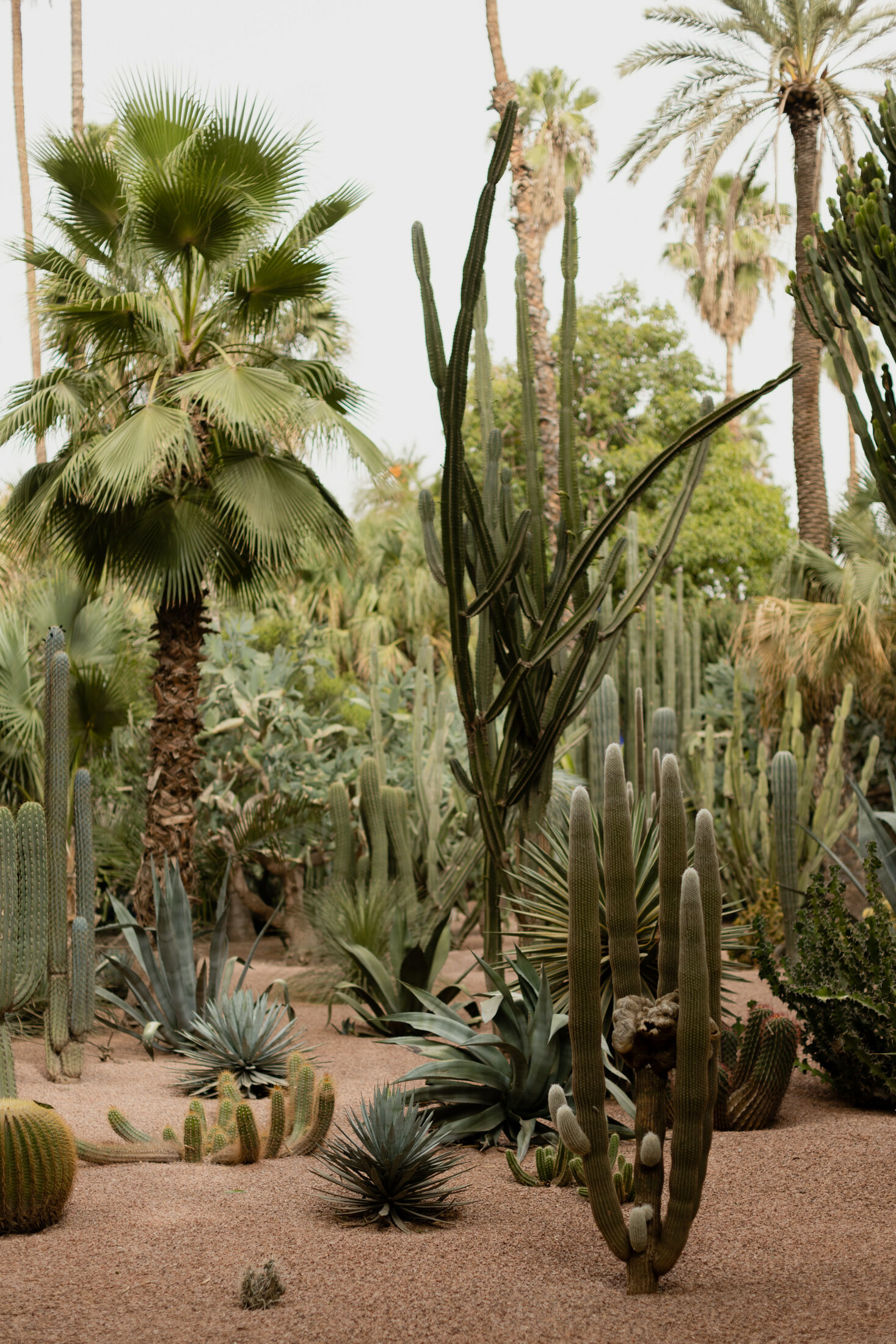 221002_Gunvor_102932_FG 221002_Gunvor_102932_FG