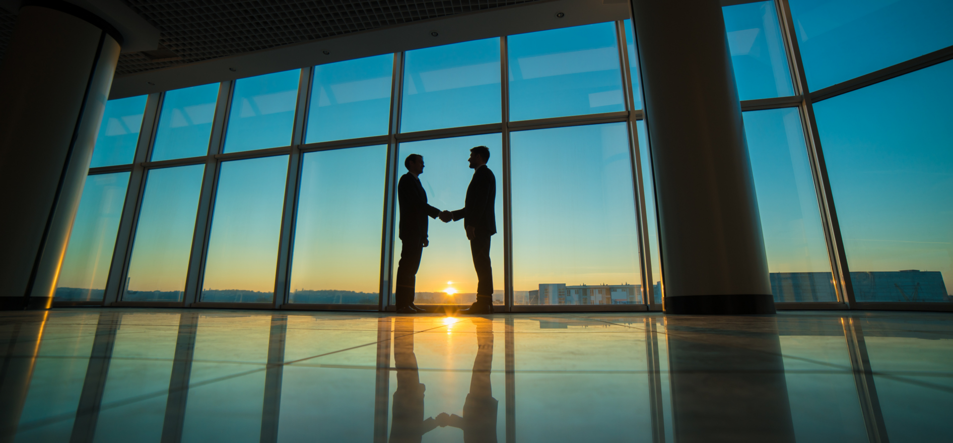 Banner image Banner image