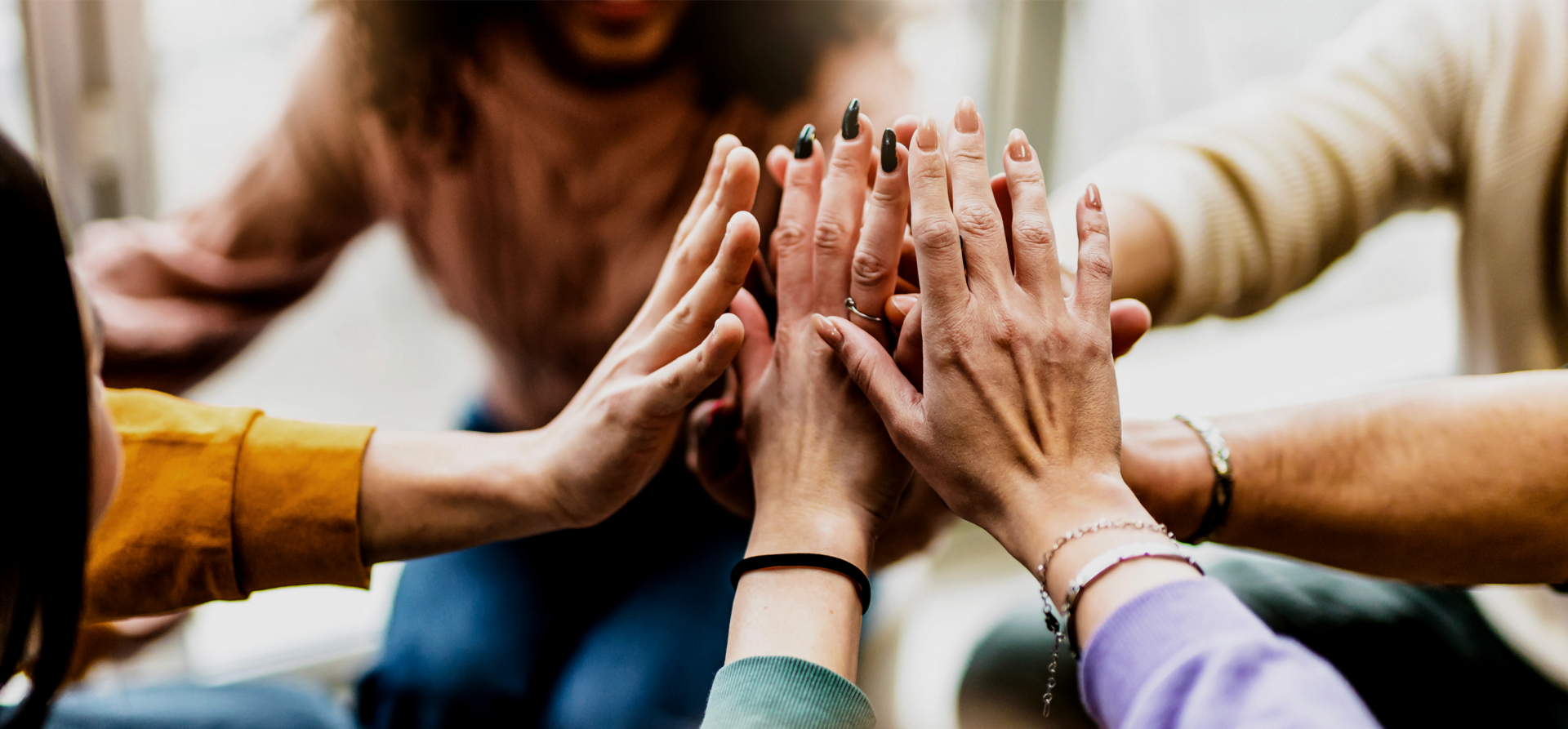 Banner image Banner image