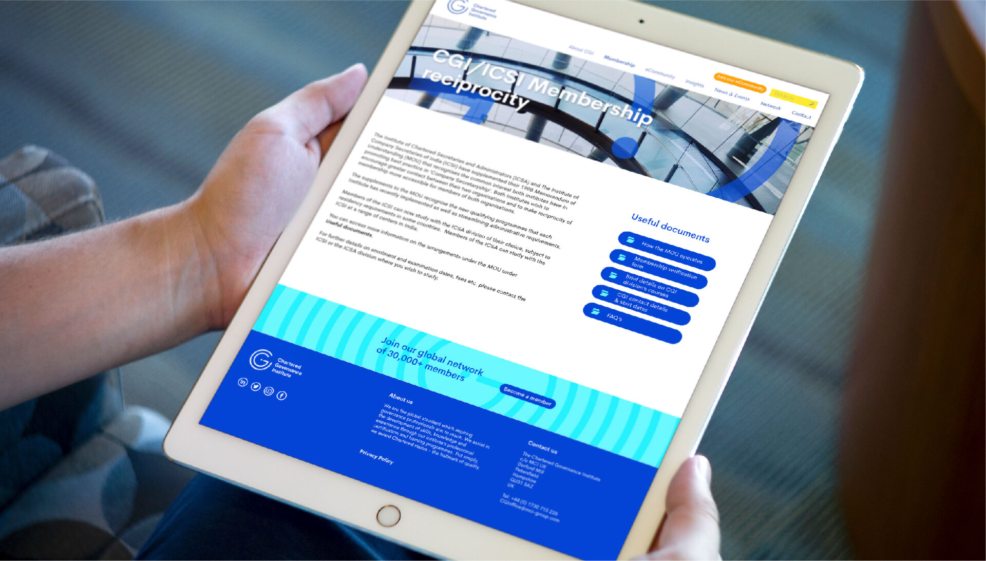 CGI Governance-10