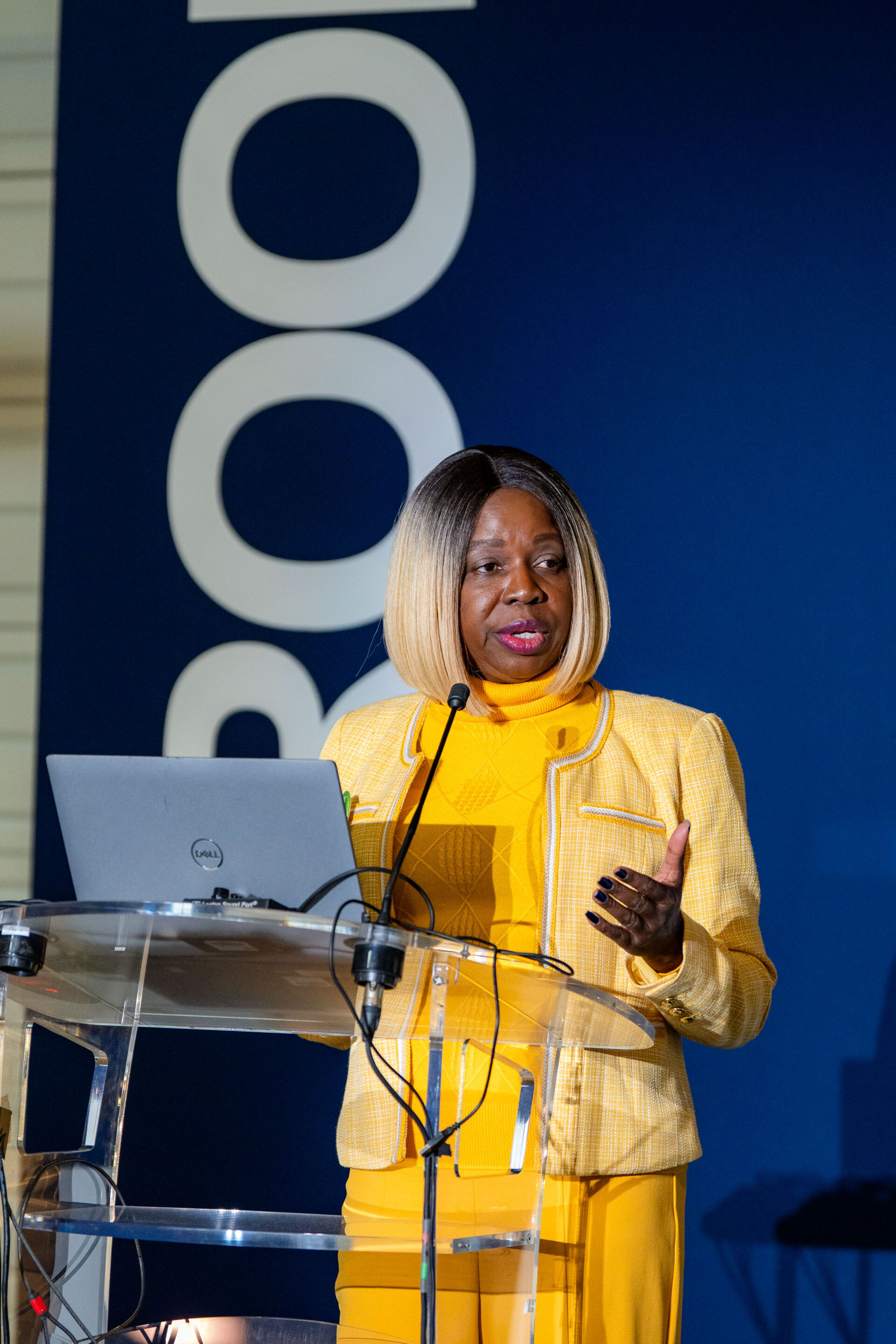 VHRD Chamb&eacute;ry Congress-303