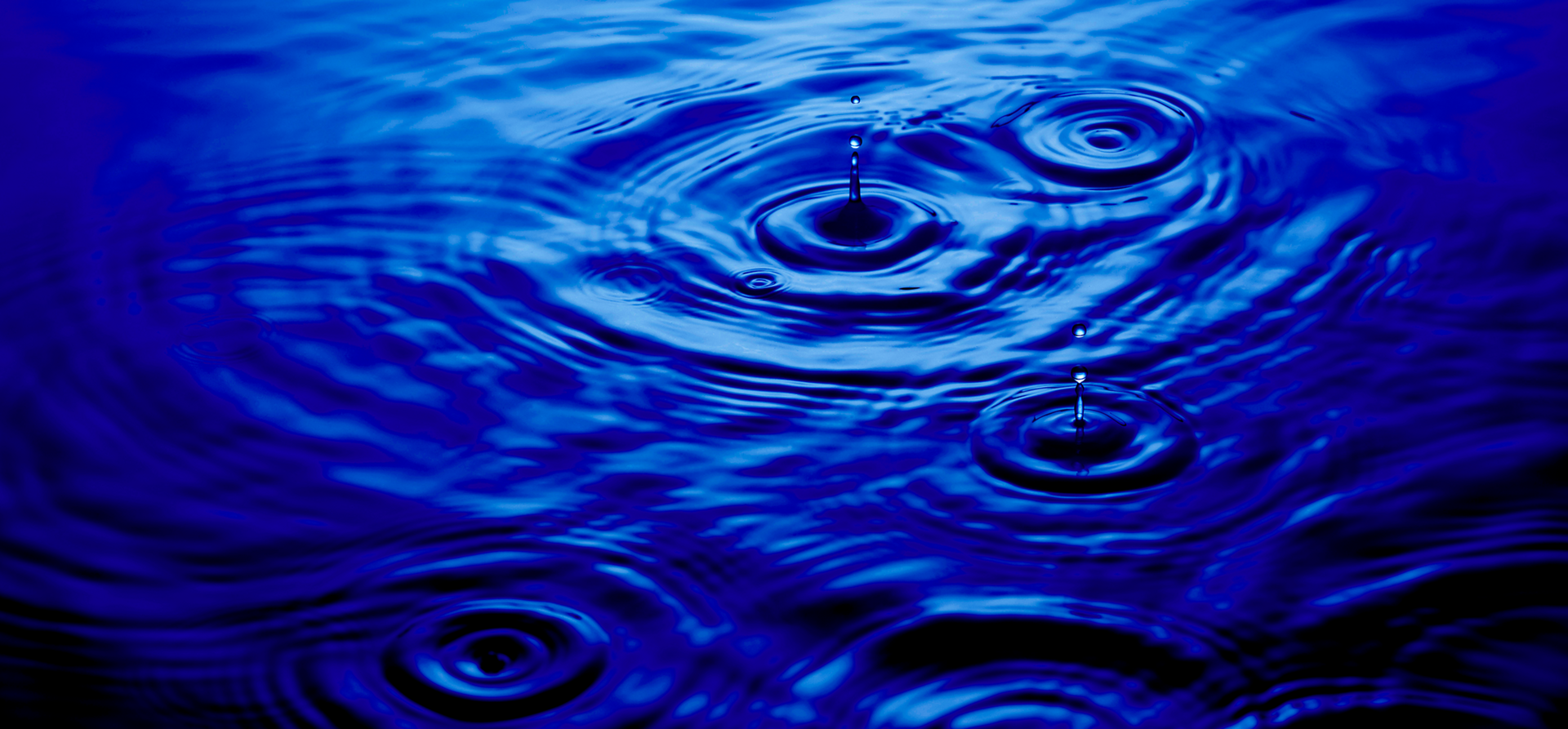 Sustainable development goals banner image Banner option 1