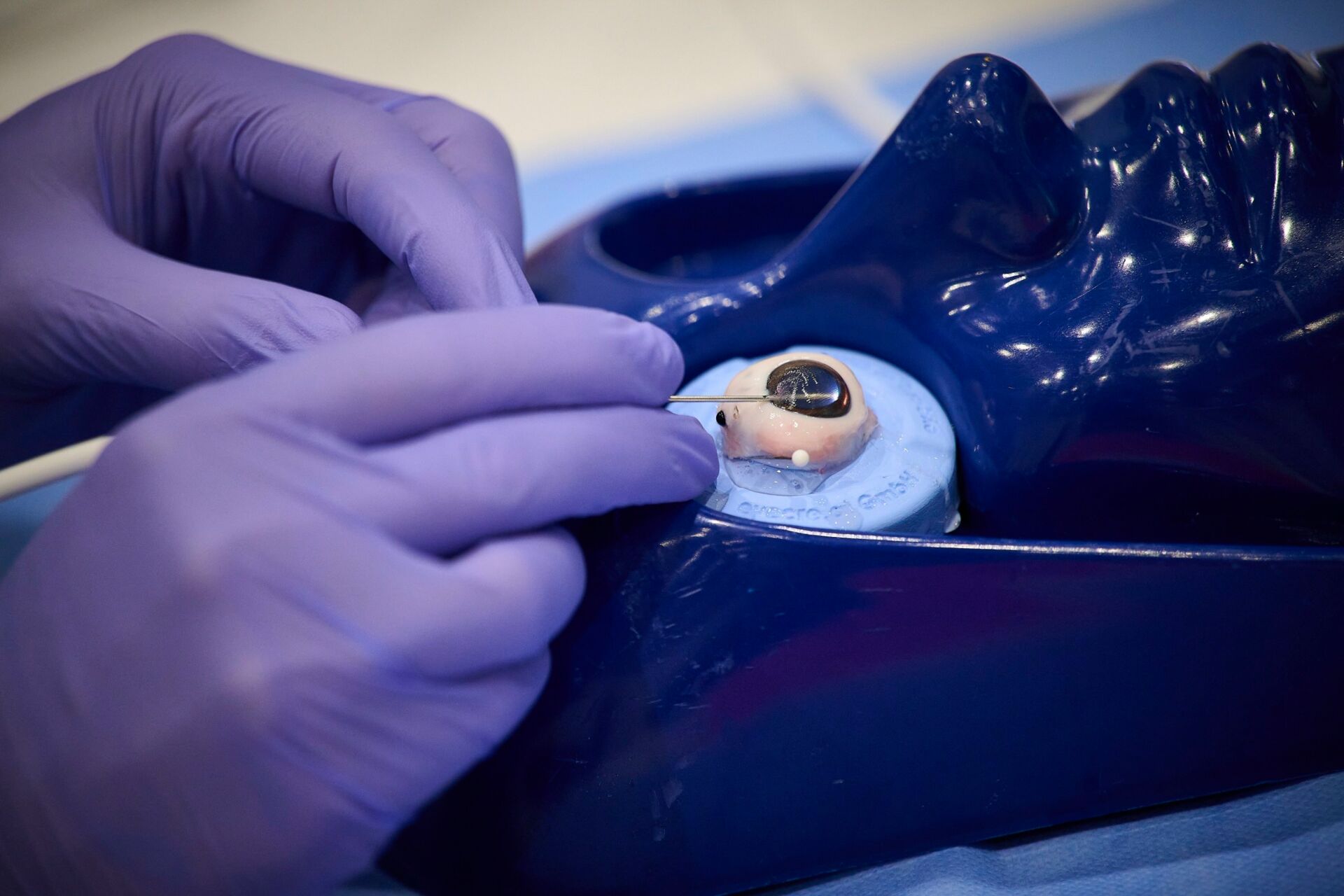 ESCRS25_250911_134100_P1 ESCRS25_250911_134100_P1