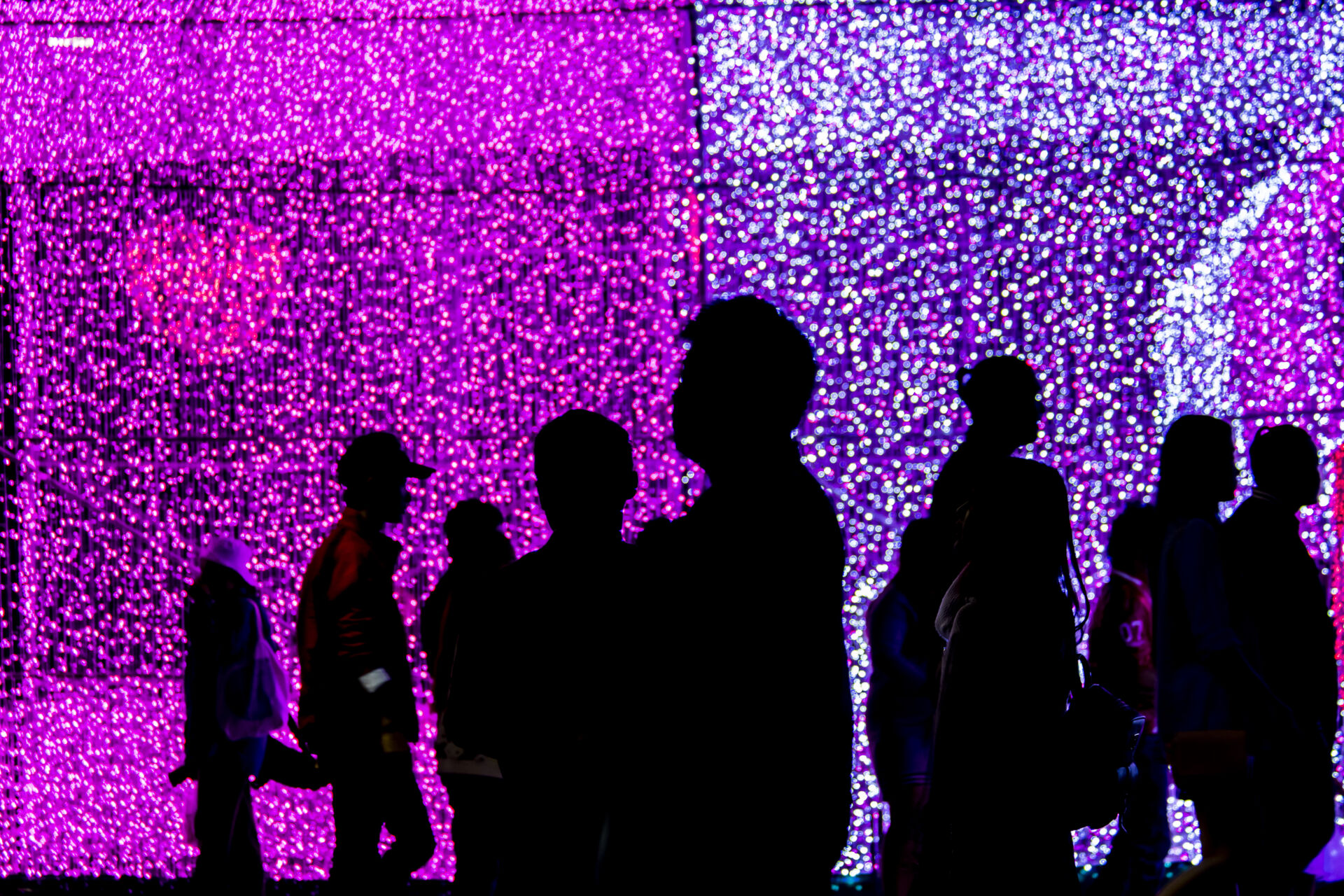 Cultivating emotional connections Header image 1