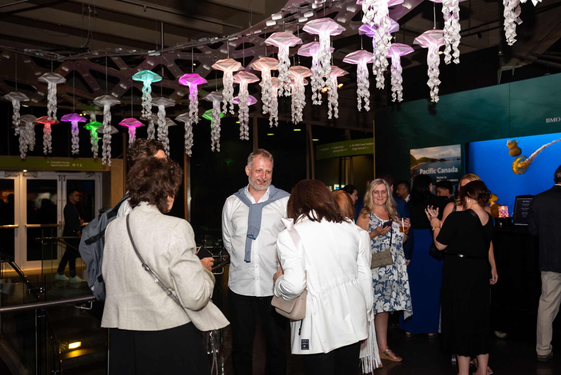 54022135832_c0c10d5ac1_o 54022135832_c0c10d5ac1_o