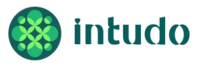 Intudo (Logo)