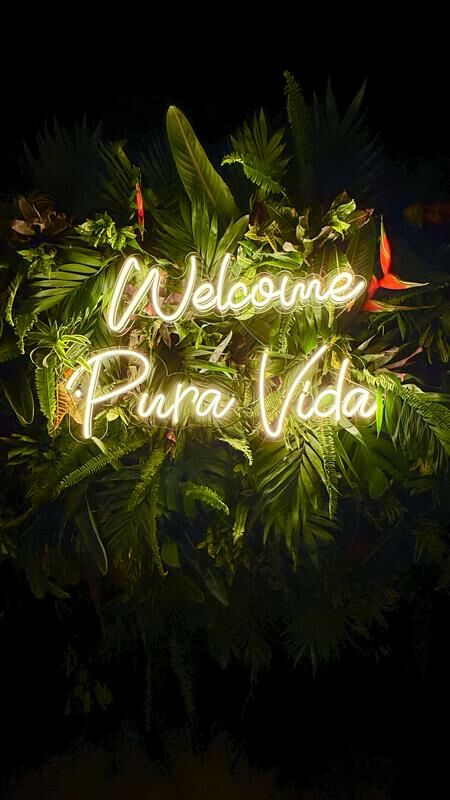 c50b9d44-f805-4f6b-9d0f-d48087e270b9 c50b9d44-f805-4f6b-9d0f-d48087e270b9