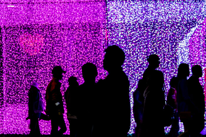 Header image 1